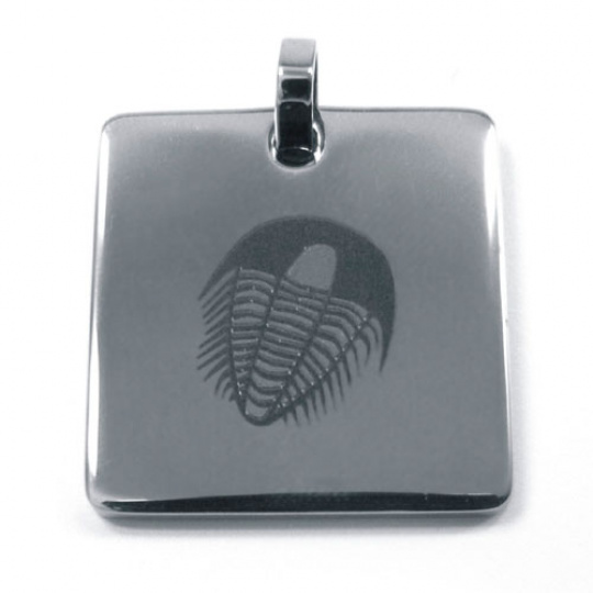 Přívěsek z chirurgické oceli 0237 Přívěsek z chirurgické oceli 0237