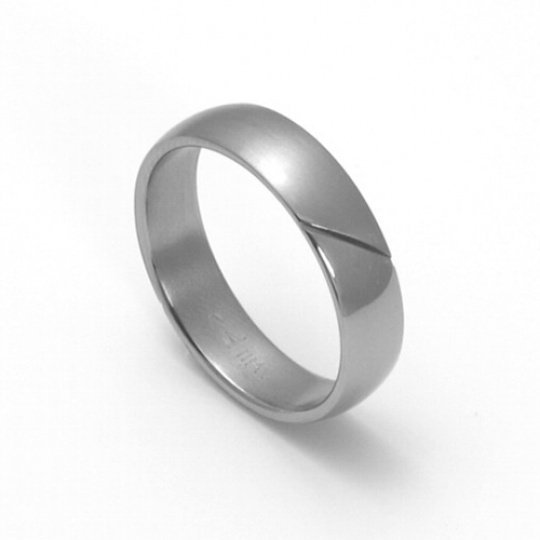 Pánský titanový snubní prsten TTN1201 Pánský titanový snubní prsten TTN1201